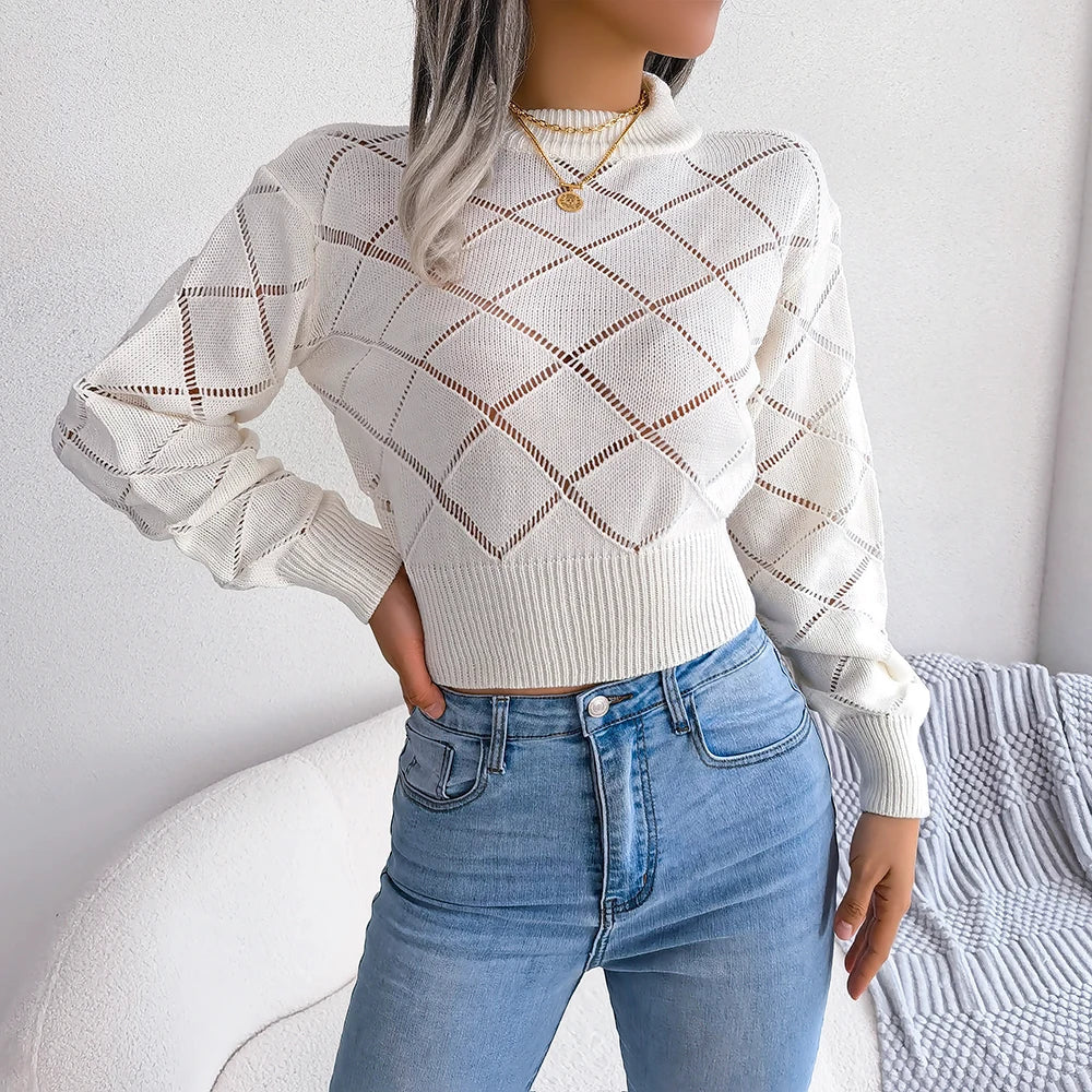 Lucy Hollow Crop Sweater