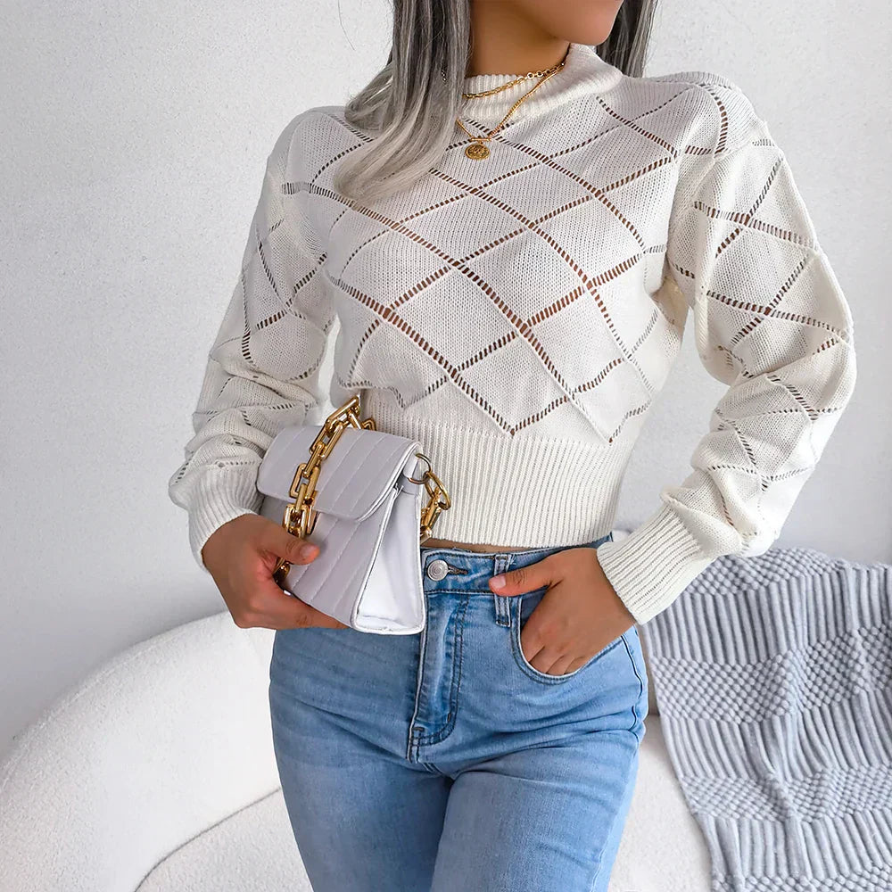 Lucy Hollow Crop Sweater