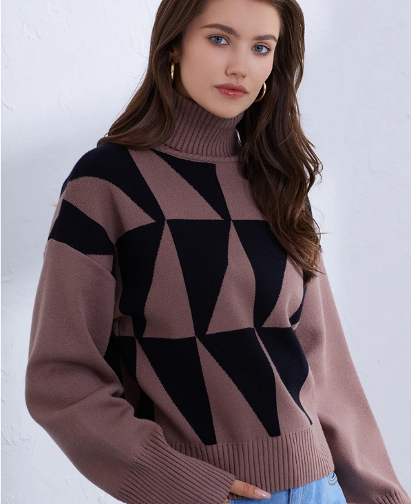 Fifine Turtleneck Sweater