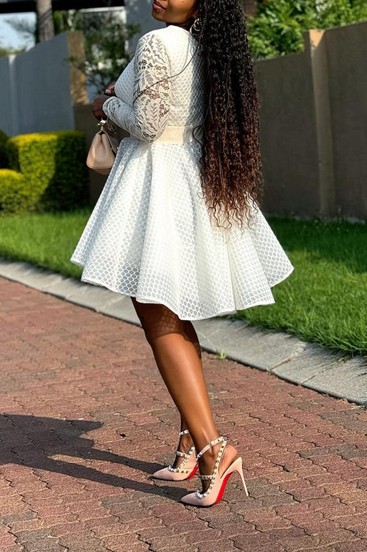 Unique Lace Sleeve Honeycomb A-line Dress