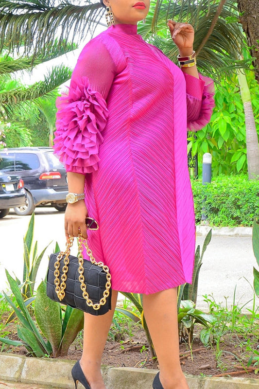 Chic Ruffles Dteail Sleeve Dress