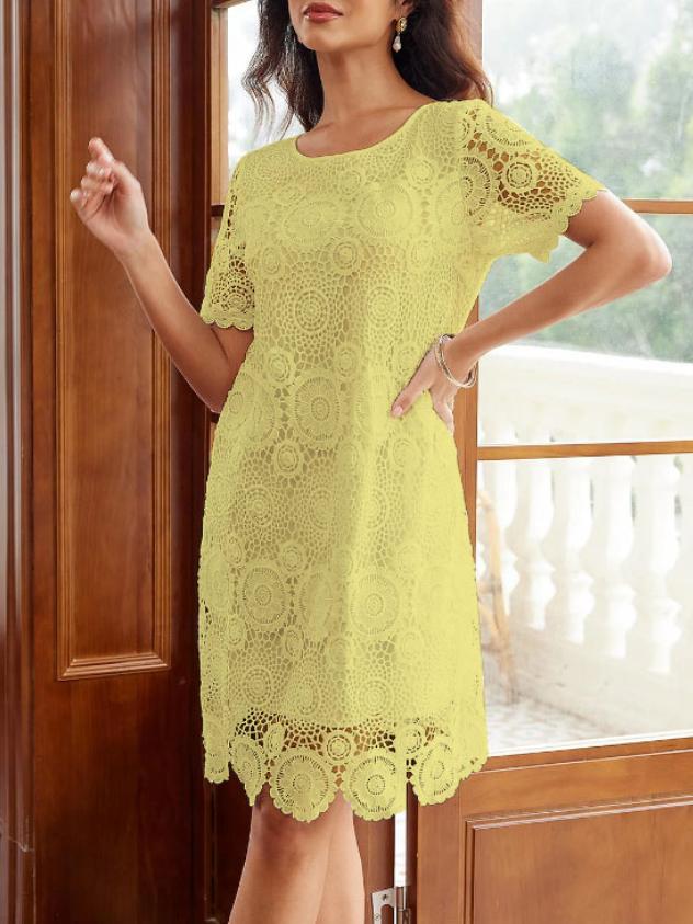 Elegant Hollow Out Lace Short Sleeve Dress