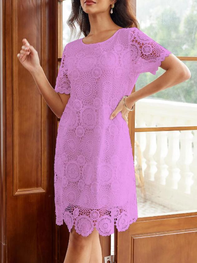 Elegant Hollow Out Lace Short Sleeve Dress