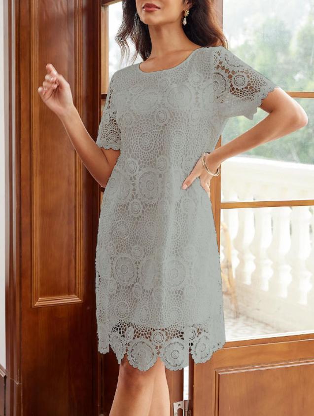 Elegant Hollow Out Lace Short Sleeve Dress